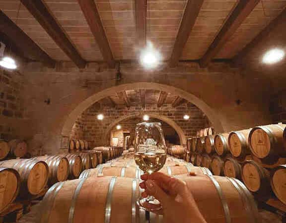 Visite de la cave à vin maltaise