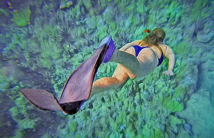 Tur de snorkelling