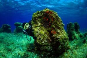 Scuba diver underwater, Malta