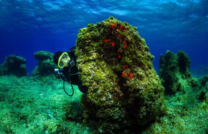 Scuba diver underwater, Malta