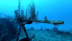 Wreck Dive machine gun in Malta